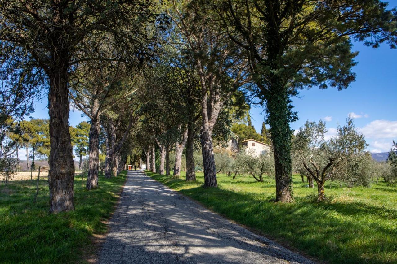 Borgo Petroro Hotel Todi Exterior photo